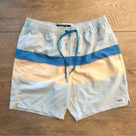 O’NEILL Swimming Trunks Shorts Sz Large Pastel Wide Striped Elastic Drawstring - Picture 1 of 9